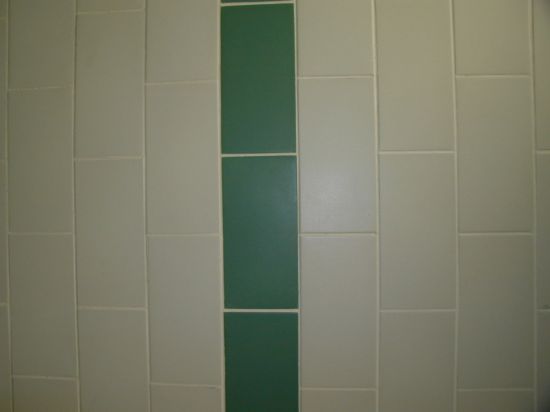 Tiled wall, taken with flash. Click for original.